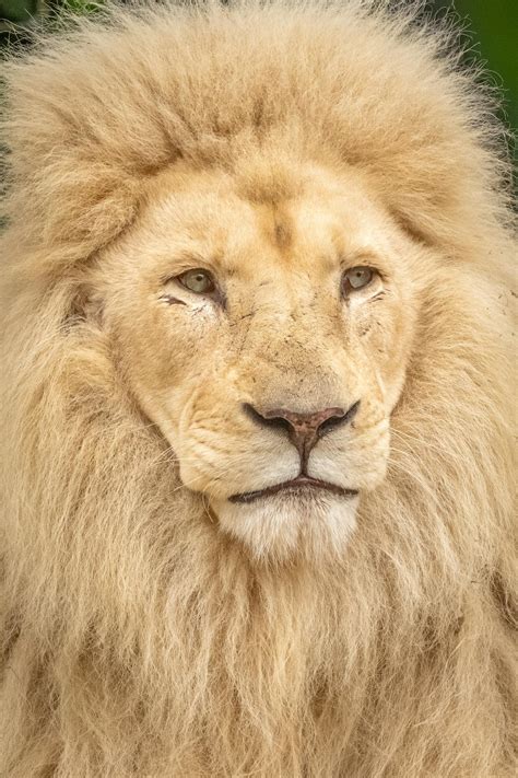 Sophie+Rain+Images Photos, Download The BEST Free Sophie+Rain+Images Stock Photos & HD Images