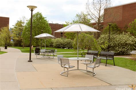 [Photo Story] Best Outdoor Study Spots Across Campus | Onward State