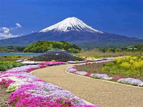 Places To Visit In Tokyo | Two days in Tokyo A Contrasting World Of ...