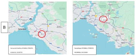 First Report of the Gene Mutations Associated with Permethrin ...