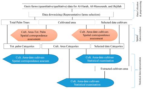 Analyzing the Spatial Correspondence between Different Date Fruit ...