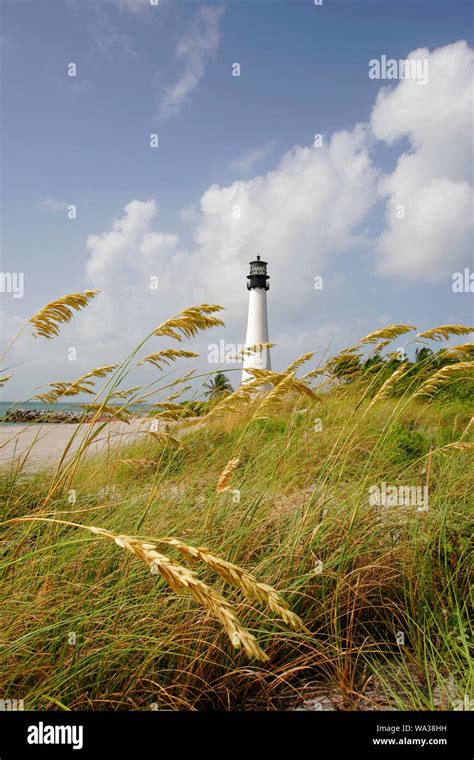 Image result for Key Biscayne Lighthouse Night