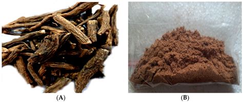 Saussurea lappa Exhibits Anti-Oncogenic Effect in Hepatocellular ...