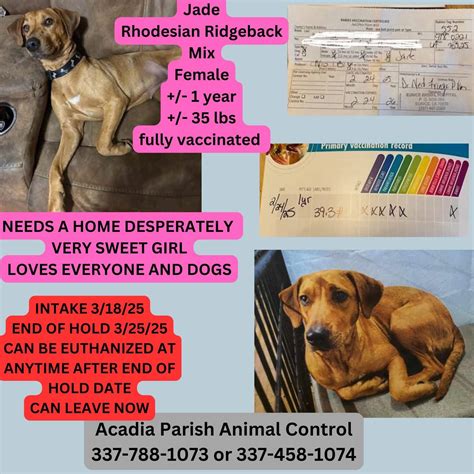 Take Paws Rescue added a new photo. - Take Paws Rescue