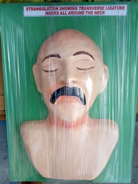 Image result for Forensic Science Model