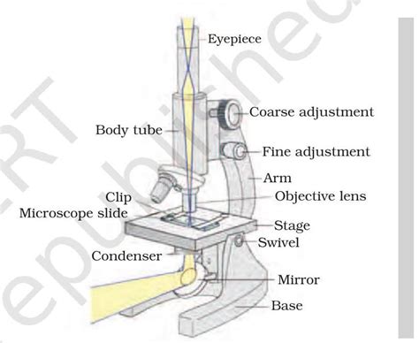 SATHEE: The Fundamental Unit Of Life