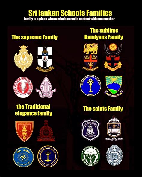 College Fun Hub | We Are Backkkk Guuuuuys.....! 💥 #collegefunhub #visakhavidyalaya | Instagram