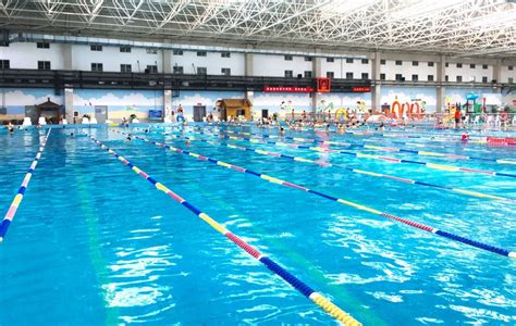 【节目预告】暑假去哪玩——保定市青少年游泳跳水训练中心_腾讯新闻