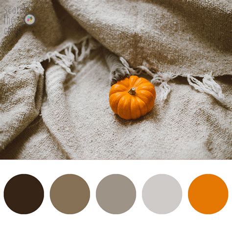 Image result for Unity Color