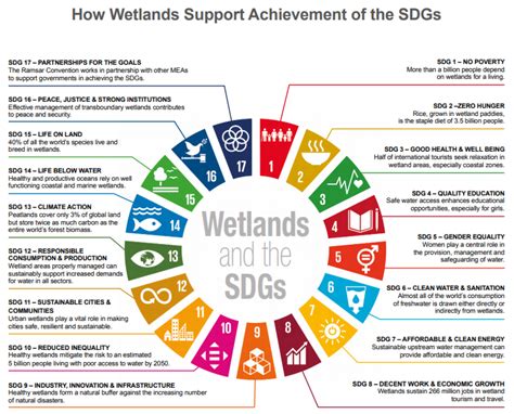 SDG Explained 的图像结果