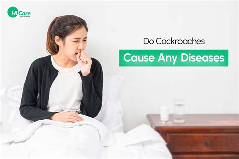 Do Cockroaches Cause Any Disease? Everything You should Know – HiCare ...