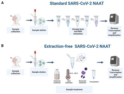 Image result for Nucleic Acid Amplification Test Explained