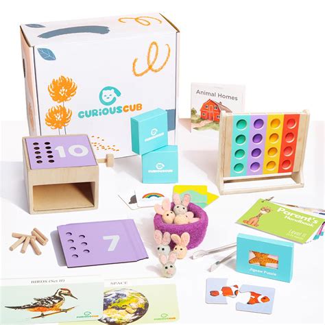 Buy Curious Cub Montessori Learning Wooden Toys|Box 11: 1.5-2 Years ...