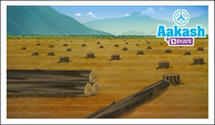 Difference Between Afforestation and Deforestation in Biology ...