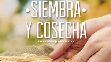 VERSÍCULOS BÍBLICOS DE OFRENDA Y FORTALEZA