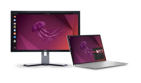 Linux Server Desktop 的图像结果