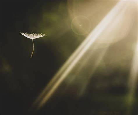 SolidWorks Pamokos 的图像结果