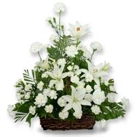 Dalcamo Funeral Home | Compassionate Funeral & Memorial Services in Chicago