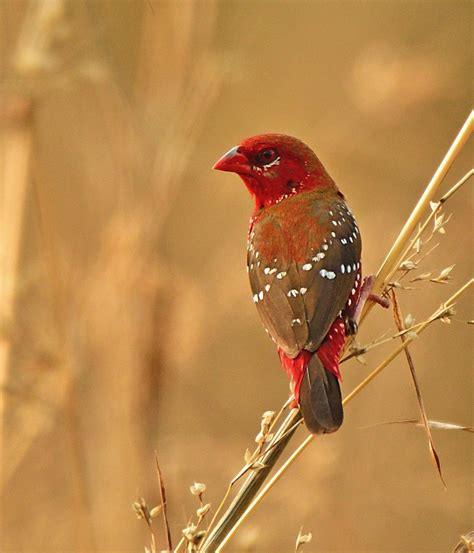 Kuno National Park | Nature inFocus