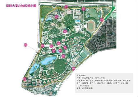 深圳大学校园部分地名有变更 看到这些新名称可别懵- 深圳本地宝