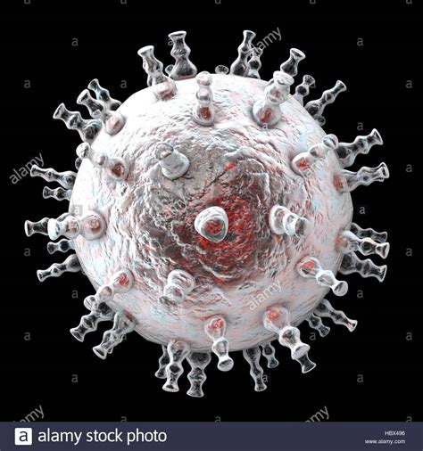 Human Herpesvirus 8 Stock Photos & Human Herpesvirus 8 Stock Images - Alamy