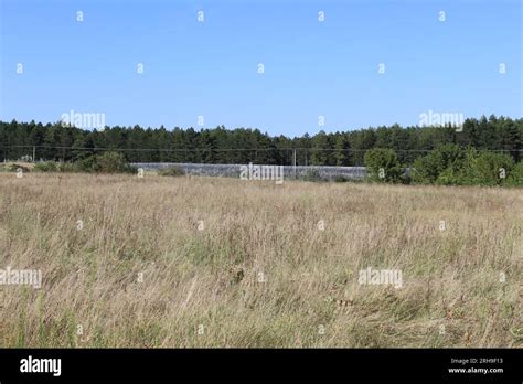 Image result for Sebia Where