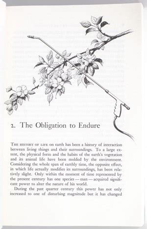 Silent Spring 的图像结果