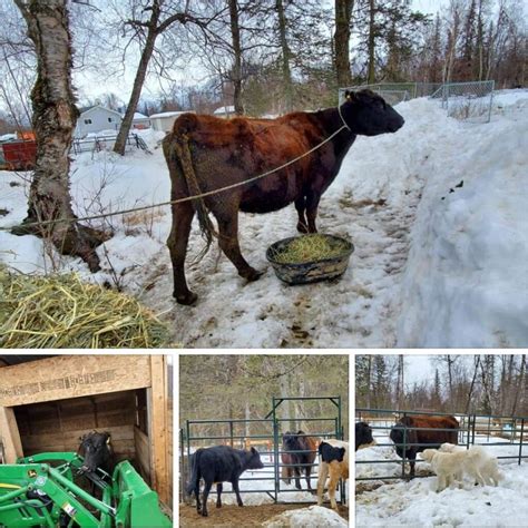 Who Is Alaska Farm Supply? – Alaska Farm Supply