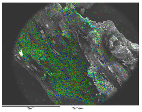 Sustainable Nanotechnologies for Curative and Preventive Wood ...