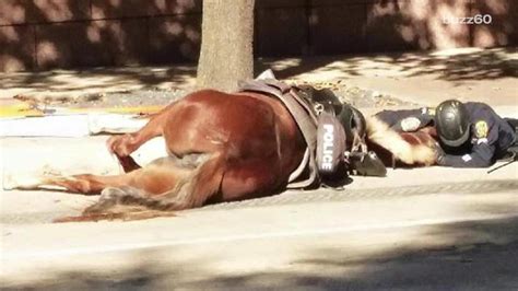 Image result for ValueError Python Syntax