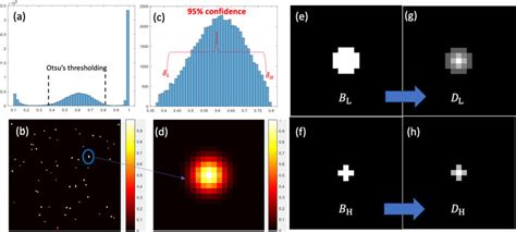 Image result for Probability Study Map