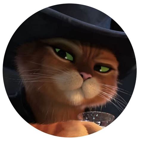 Telegram channel "Puss in boots confessions ¡" — @pussbootsconf — TGStat
