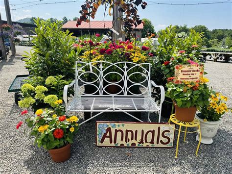 Reems Creek Nursery: My Budget Hacks – Asheville Gardener