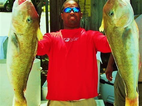 ADVENTURE WATERSPORT CHARTERS (2025) All You Need to Know BEFORE You Go ...