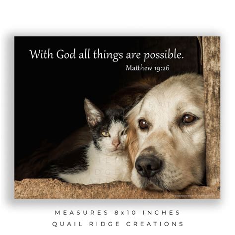 Animal Bible Verses On