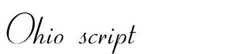 Image result for Script Ohio Screensaver