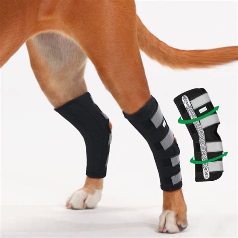 Buy IN HAND Dog Rear Leg Hock Brace, Pair of Canine Dog Leg Joint Wraps ...