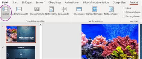 Notizen in PowerPoint erstellen & drucken (2022) | SlideLizard®