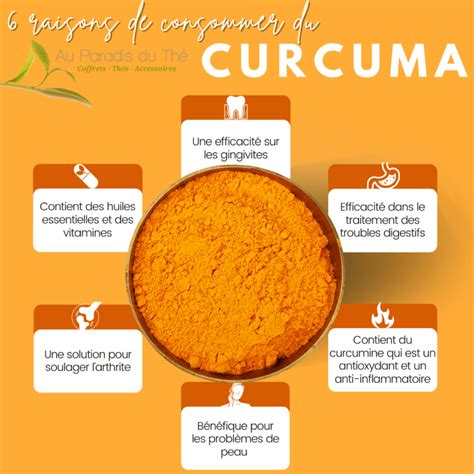 Image result for Curcuma Bienfaits