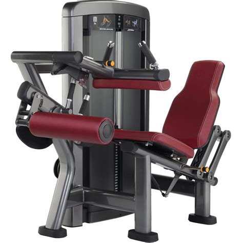 Life Fitness Insignia Series Seated Leg Curl Machine - Shop Online ...