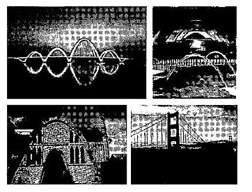 The below pictures are few natural examples of parabolic shape which is ...