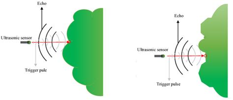 Feasibility of Ultrasonic Sensors in Development of Real-Time Plant ...