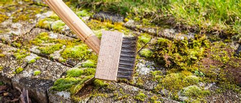 Removing Moss From Patios - Advanced Turf Solutions