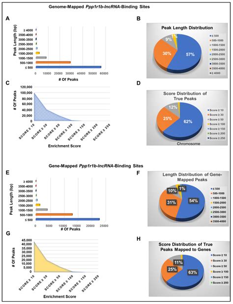 Mapping Chromatin Occupancy of Ppp1r1b-lncRNA Genome-Wide Using ...