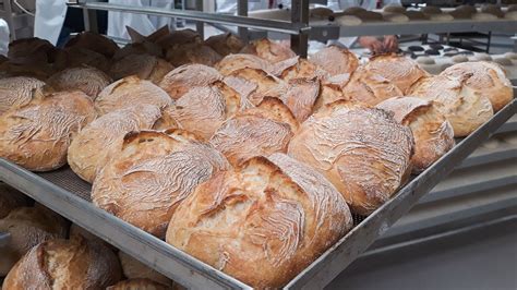 IMPRESSA bread | FRITSCH
