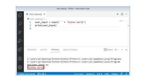 Python User Input Function 的图像结果