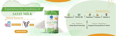 Buy Camel Milk: Pure & Natural Source of Nutrition - Aadvik Foods