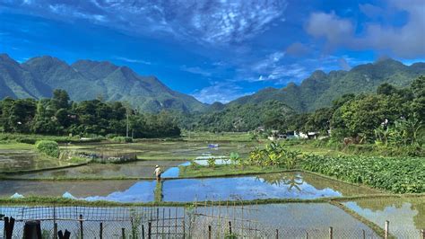 Hình ảnh - Meadow Mai Chau Homestay