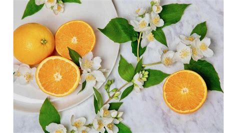 National Orange Blossom Day 2023 (US): Facts, Dates and History