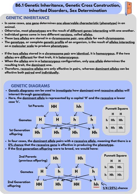 Genetic Inheritance 的图像结果